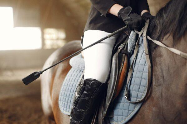 Hoe lang gaat een paardendeken mee?